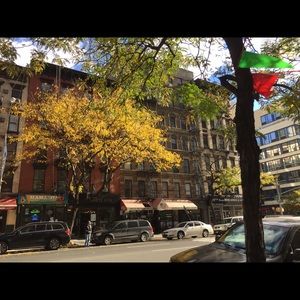 Meet your Posher, Malorie