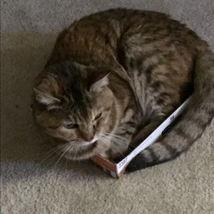 Meet your Posher, Roberta