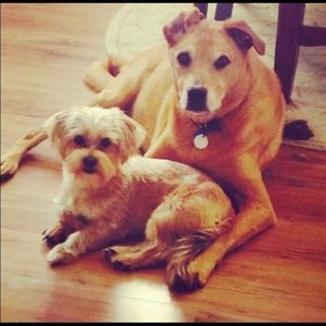 Meet your Posher, Ashley