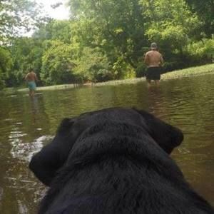 Meet your Posher, Gus