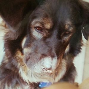 Meet your Posher, Jane