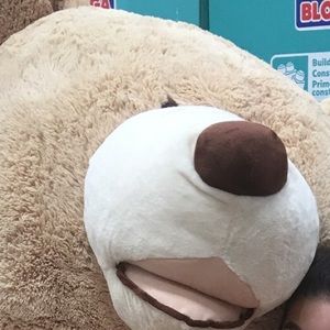 Meet your Posher, Robyn