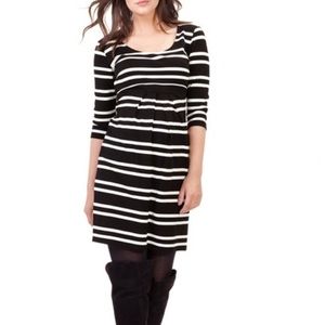Isabella Oliver Maternity Dress