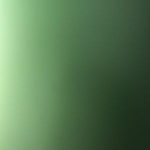 Meet your Posher, Darcy