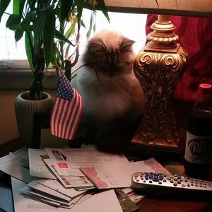 Meet your Posher, Sharon