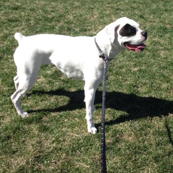 Meet your Posher, Courtney - Picture 1 of 1