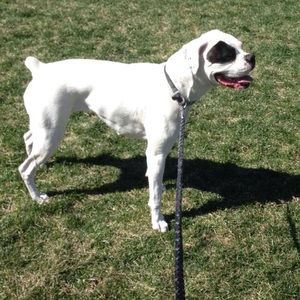 Meet your Posher, Courtney