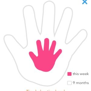 Meet your Posher, Abi