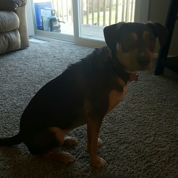 Meet your Posher, Kristine - Picture 1 of 1