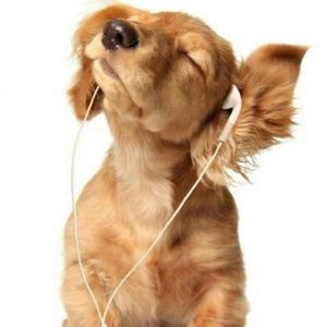 Meet your Posher, Alena