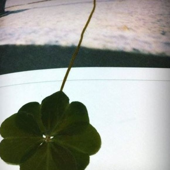 Meet your Posher, H.h - Picture 1 of 1