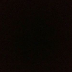 Meet your Posher, Gracie