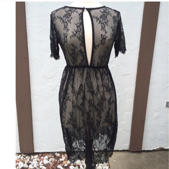 New Beautiful Lace Sheer Dress - Picture 3 of 3
