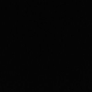 Meet your Posher, Jailene