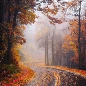 Meet your Posher, Kennedy