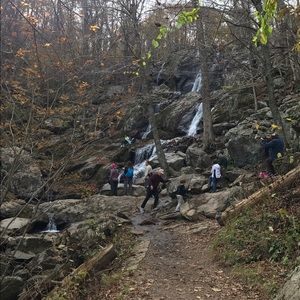 Meet your Posher, Jocelyn