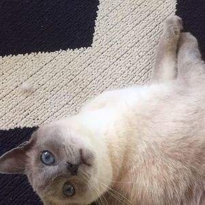 Meet your Posher, Kathy