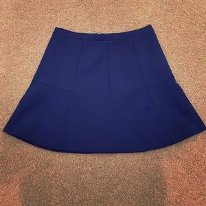 J.Crew skirt