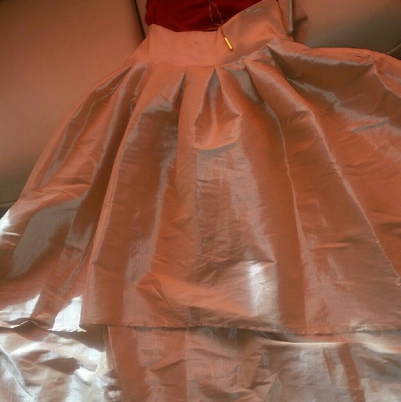 N/A ❌ ❌ ❌ GOLD PLEATED FLAIR POOFY HI LO SKIRT - SMALL..NWT! - Picture 4 of 4