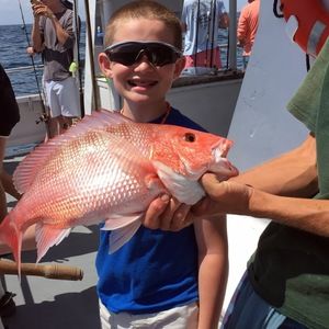 Meet your Posher, John paul