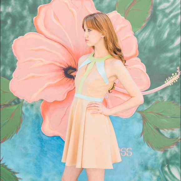 Dress - Picture 2 of 3
