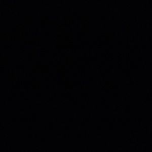 Meet your Posher, Trevor