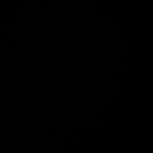 Meet your Posher, Hector