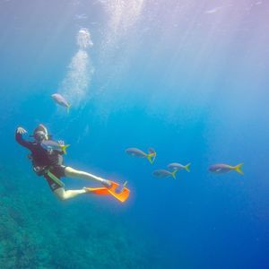 Meet your Posher, Caitlin