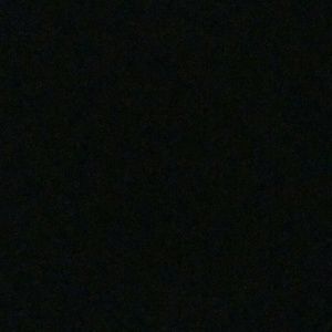 Meet your Posher, Toriano