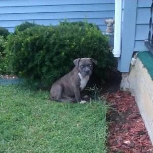 Meet your Posher, Randy