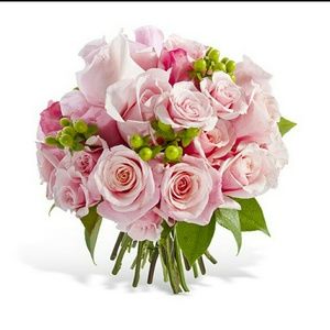 Meet your Posher, Cherry