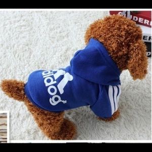 Blue dog sweater
