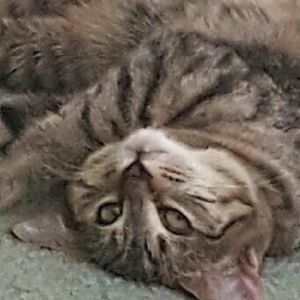 Meet your Posher, Cathy