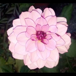 Meet your Posher, Macy