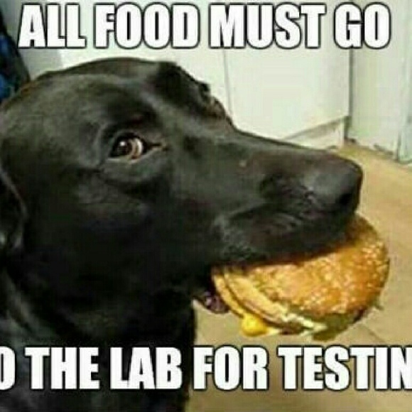 Meet your Posher, Chris - Picture 1 of 1