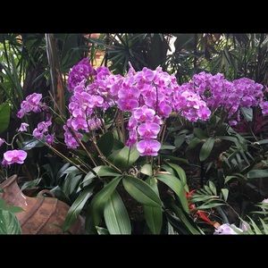 Meet your Posher, Dayna