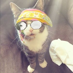 Meet your Posher, Stephanie