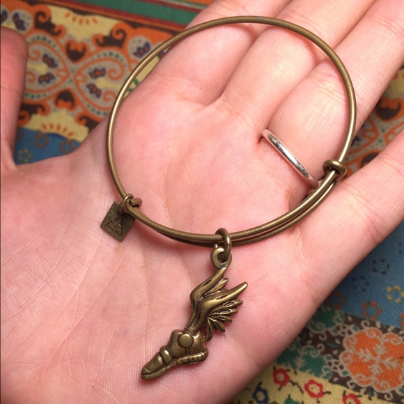 Alex and Ani Champion Retired Charity By Design