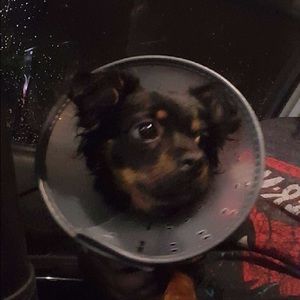 Meet your Posher, Esther