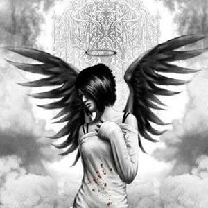 Meet your Posher, Connie