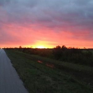 Meet your Posher, Krystal