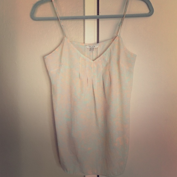 Small Cami from Aritzia