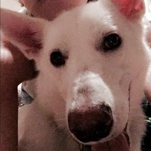 Meet your Posher, Tamara