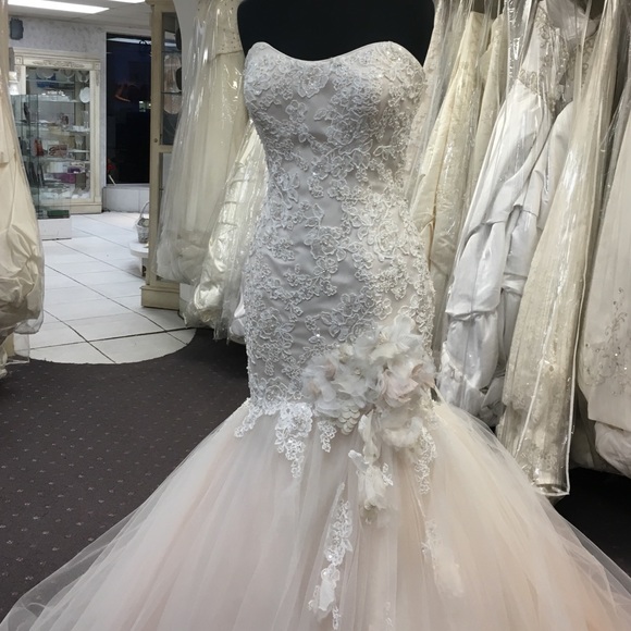 Blush Wedding Gown - Picture 2 of 5