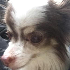 Meet your Posher, Carrye