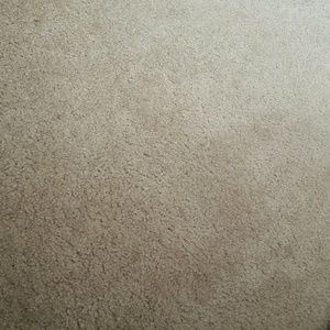 Meet your Posher, Francesca