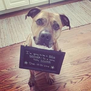 Meet your Posher, Jaimie