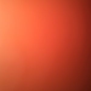 Meet your Posher, Rayven