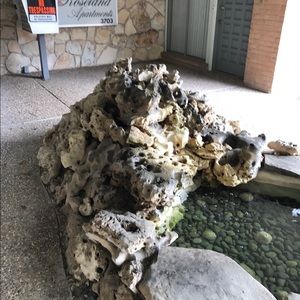 Meet your Posher, Roy