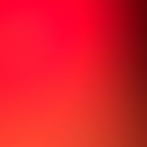 Meet your Posher, George